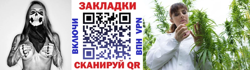 Купить закладку АМФ  Меф мяу мяу  ГАШИШ  Каннабис  Cocaine  Курчалой