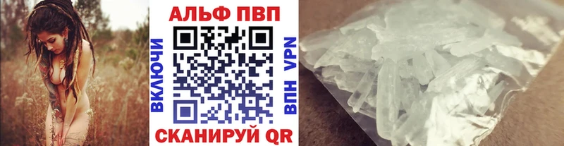 Купить закладки  Курчалой  Alpha PVP СК КРИС 