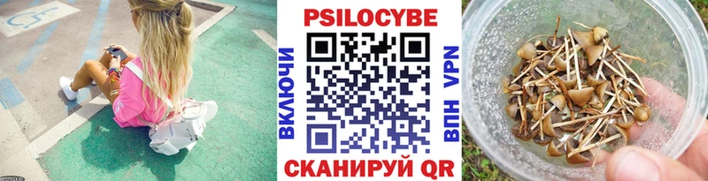 Галлюциногенные грибы ЛСД Курчалой